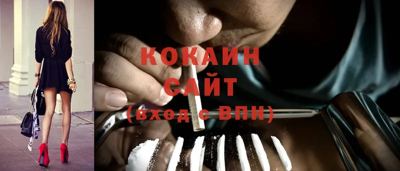 Cocaine FishScale  blacksprut как войти  Задонск 