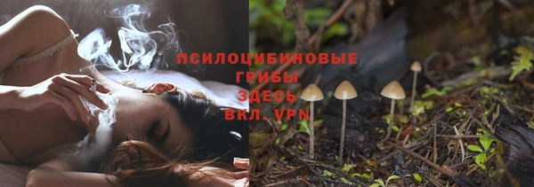 не бодяженный Нязепетровск