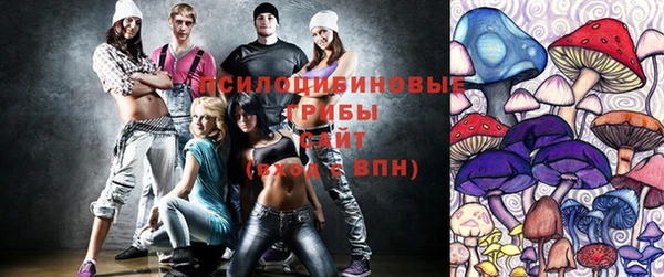 не бодяженный Нязепетровск